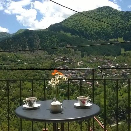 Appartement Baou House à Metsovo Extérieur photo
