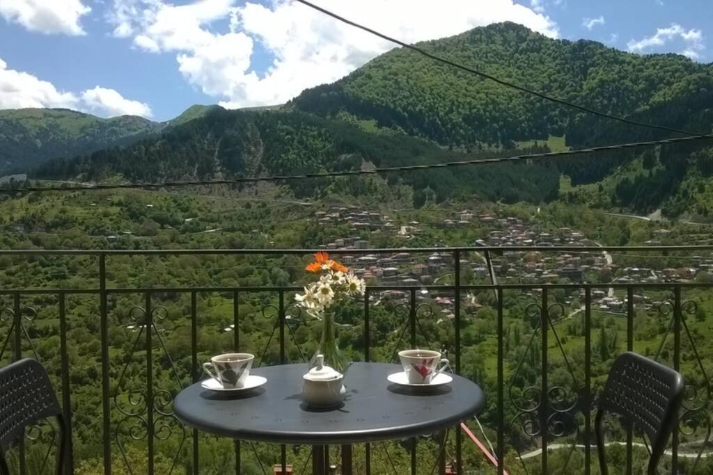 Appartement Baou House à Metsovo Extérieur photo