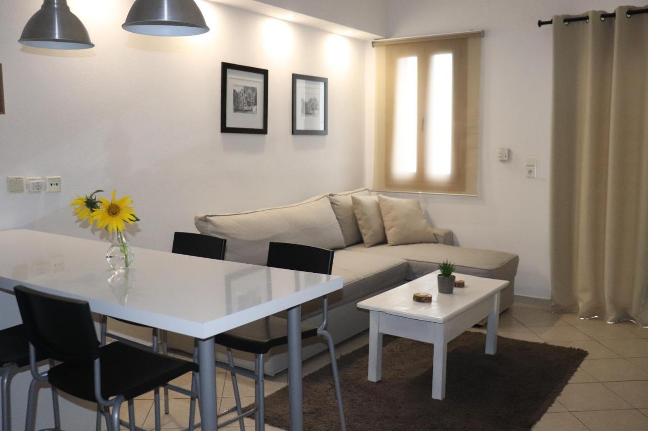 Appartement Baou House à Metsovo Extérieur photo