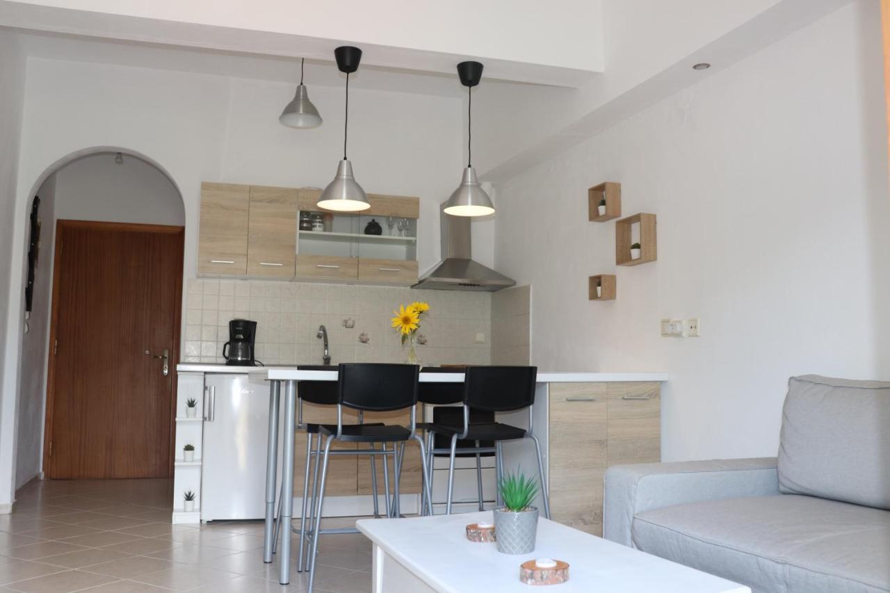 Appartement Baou House à Metsovo Extérieur photo